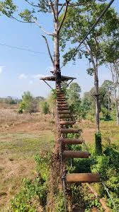 Forest adventure course at Fandee Adventure Park